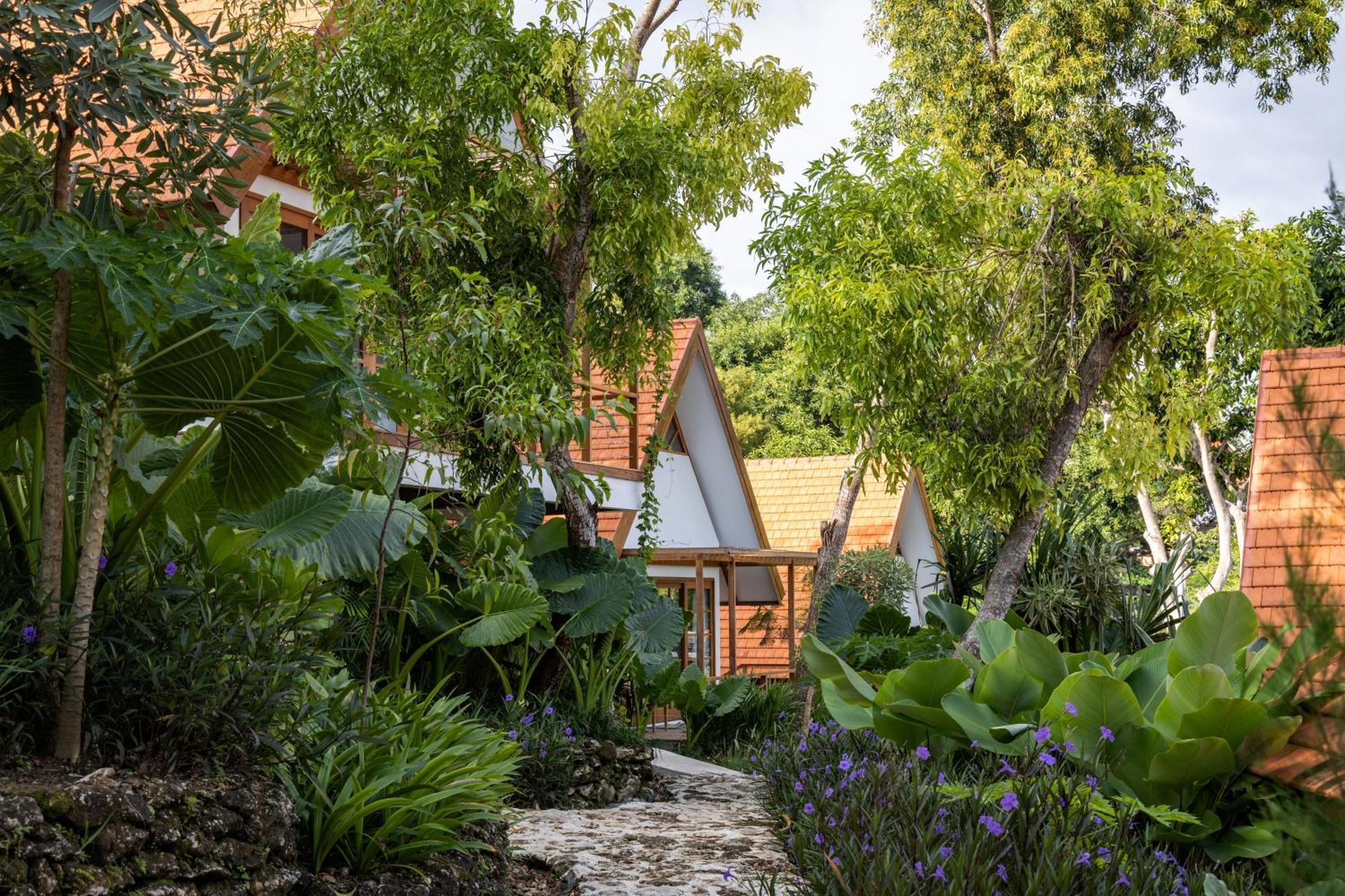 Deep Roots Dive & Yoga Resort Ped Exterior foto