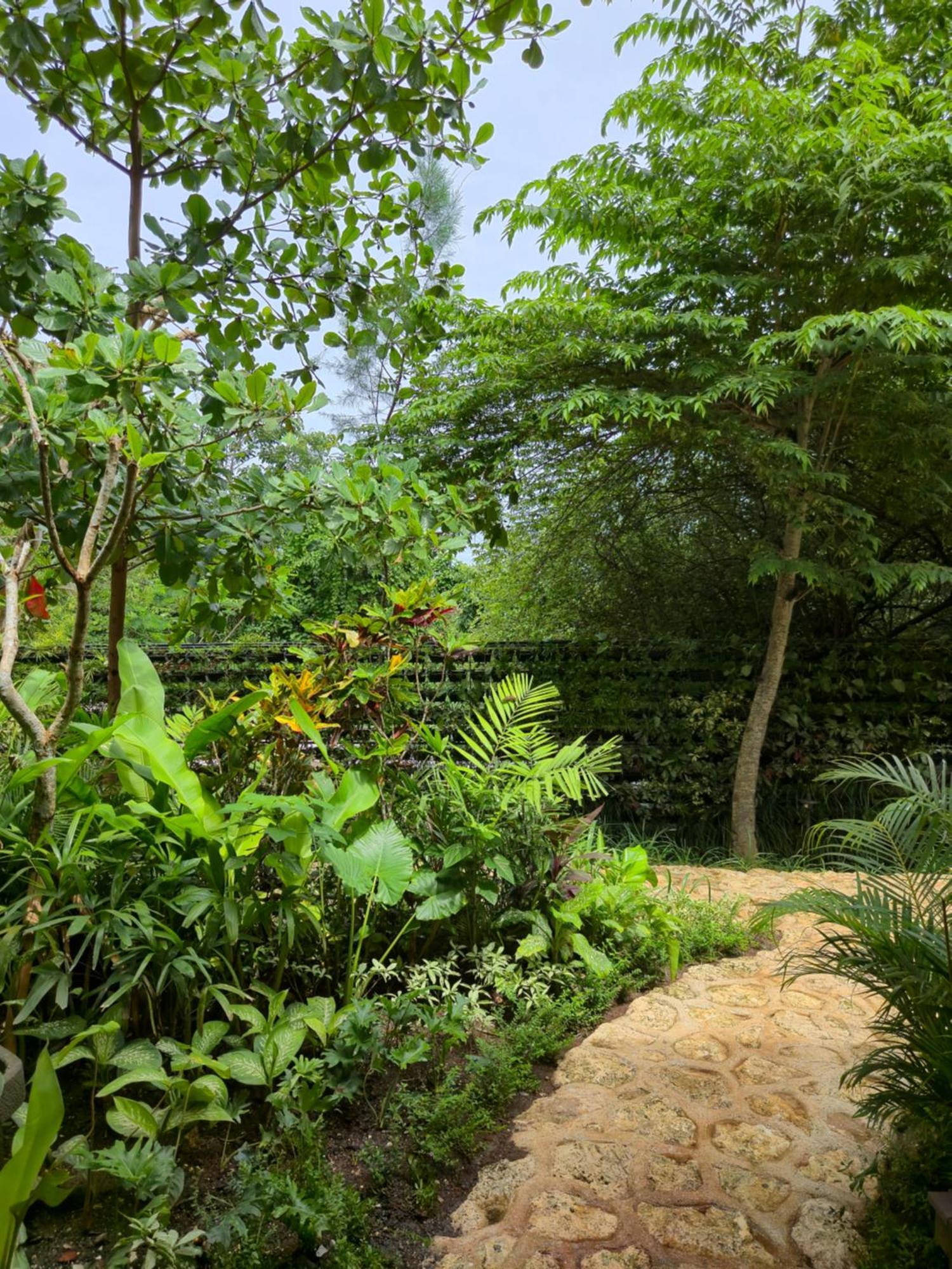 Deep Roots Dive & Yoga Resort Ped Exterior foto