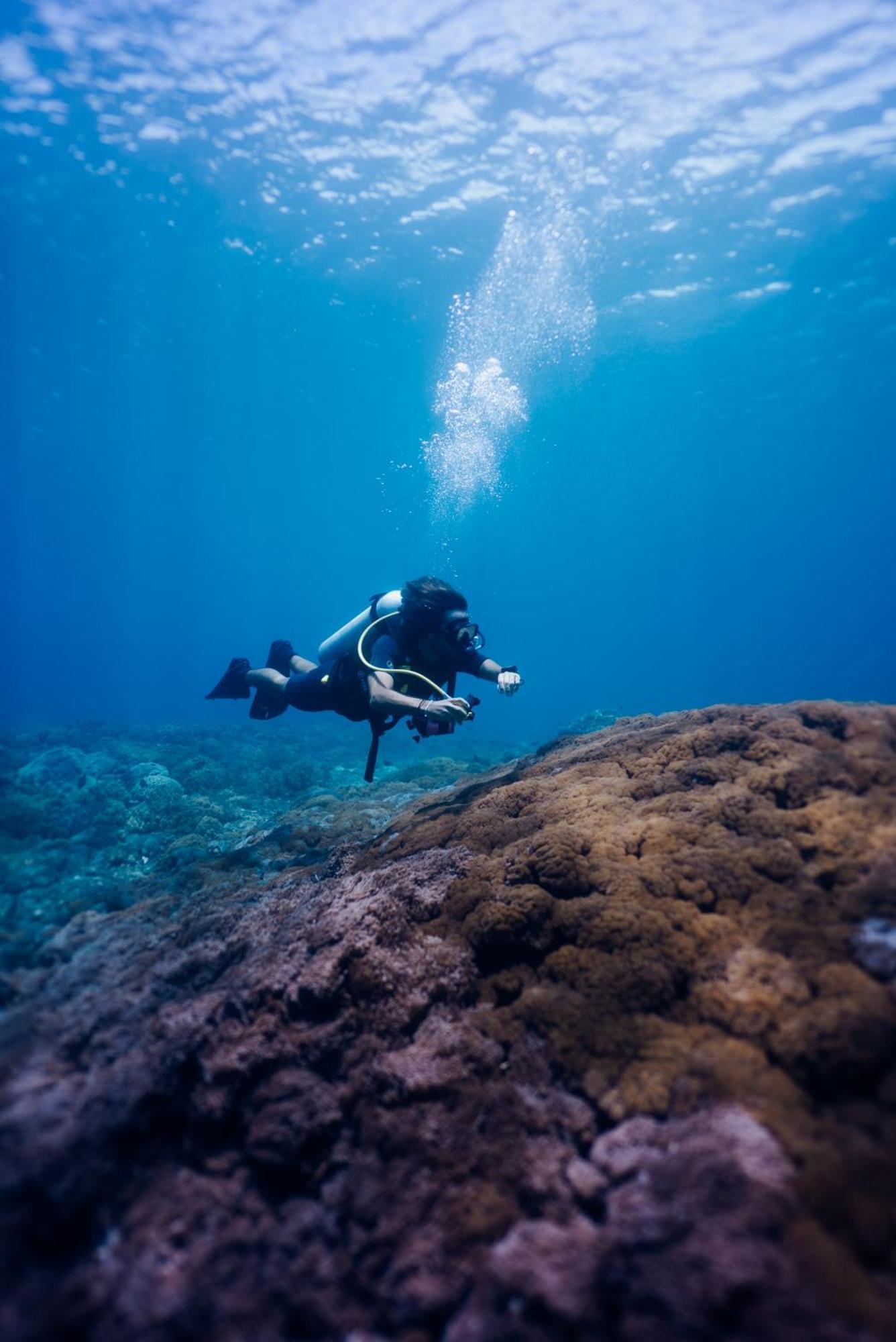 Deep Roots Dive & Yoga Resort Ped Exterior foto